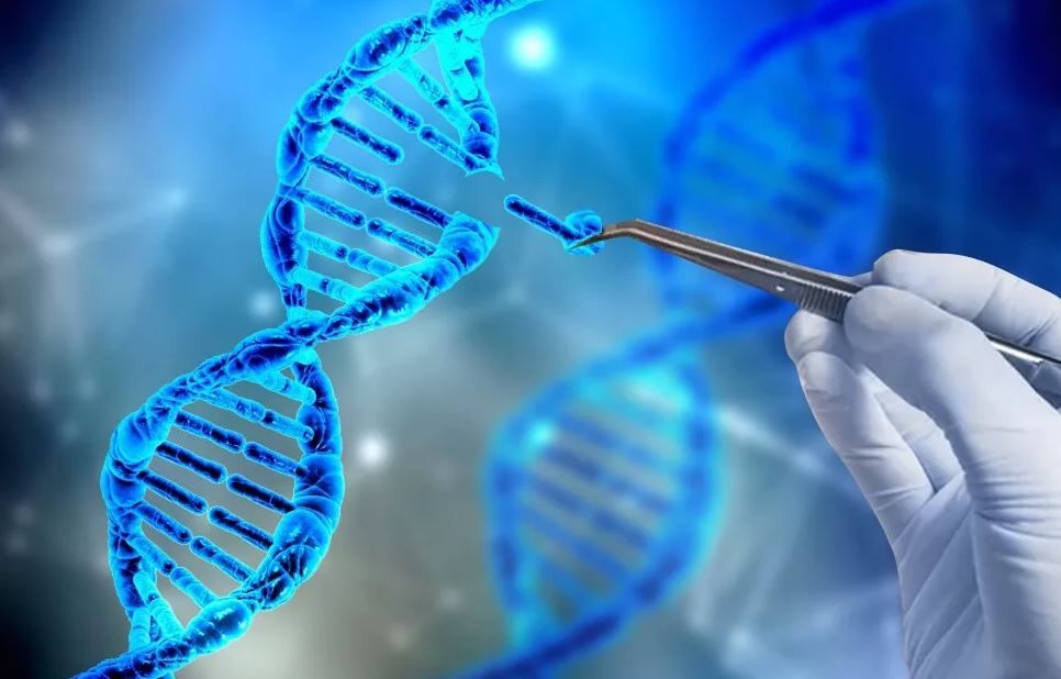 CRISPR and gene therapy